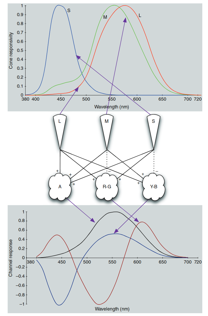 Figure 1.13