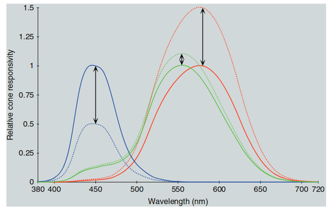 Figure 1.16