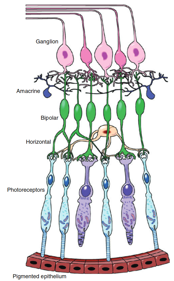 Figure 1.2