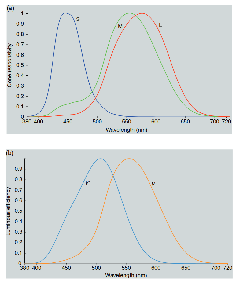 Figure 1.4