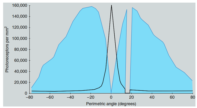 Figure 1.6