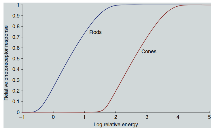 Figure 1.8